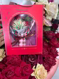 مكتبة مجتبى • طباعة وتصميم • هدايا وورود