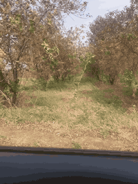 سلام عليكم البيع 10دوانم بستان خدمات فول كهرباء ماء تبليط تبعد عن نهر دجله 300متر مكان بغداد الدوره عرب جبور طابو زراعي سند 25 سعر دوانم 150مليون ***********
