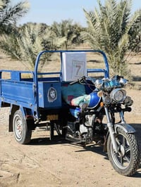 ستوته • موديل21 • أوراق اصولي