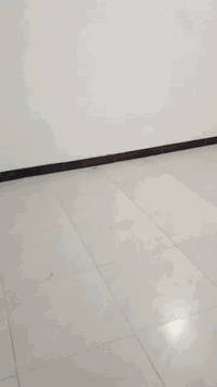 السلام عليكم بيت للأيجار السقف سندويج والارض سيرميك غرفتين 2 و هول و  ومطبخ وحمام  وتواليت سعر الأيجار 350 الف العنوان البصرة شارع معمل ثلج الأمي قرب الجسر الصفر  متوفر فيديو  رقم الهاتف للتواصلل ***********
