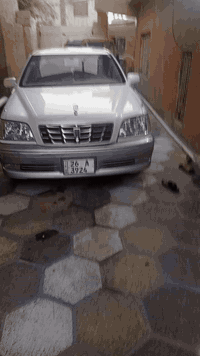 سلام عليكم ورحمة الله وبركاته من رخصت مدير لكروب ملكه موديل 2001 تلث دكم كفاله من لكص وسياره بسمي شرط التحويل ماعايزه كلشي حلوه ترايك وين مايعجبك السعر 140 اتصل واني خادم  الرقم *********** وترهم مراوس
