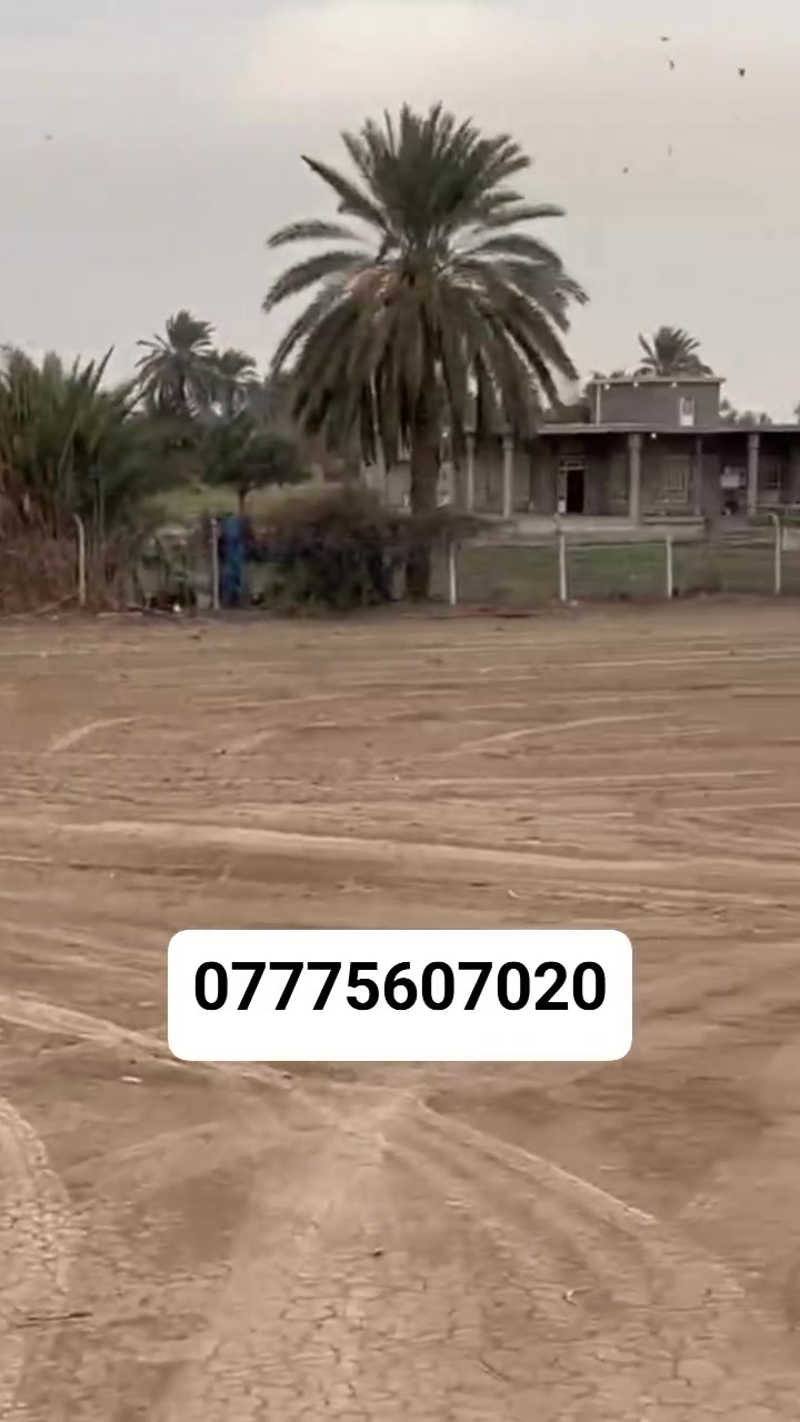 ٧ دونم طابو زراعي سند مستقل 
الرضوانيه قرب معمل زينب بسعر مناسب جدا

***********
