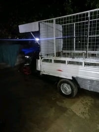 ستوته • شغالة شرط • معمرة جديد