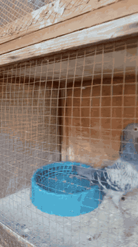 السلام عليكم متاح تك فحل جيني رابطته 2021 واضح بل تصوير مكاني بغداد حي ؤر ام الكبر والغزلان وهذا رقمي ***********
