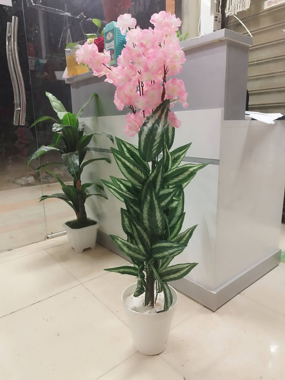 ارتفاع ١مترسعر ١٠ يتوفرجميع الالوان والقياسات والاشكال
يوجد جملة واسعار خاصة إلى أهالي البيجات


**إذا كنت صاحب هذا الإعلان وتريد حذفه لأي سبب، رجاءا أرسل رسالة إلى الدعم الفني**