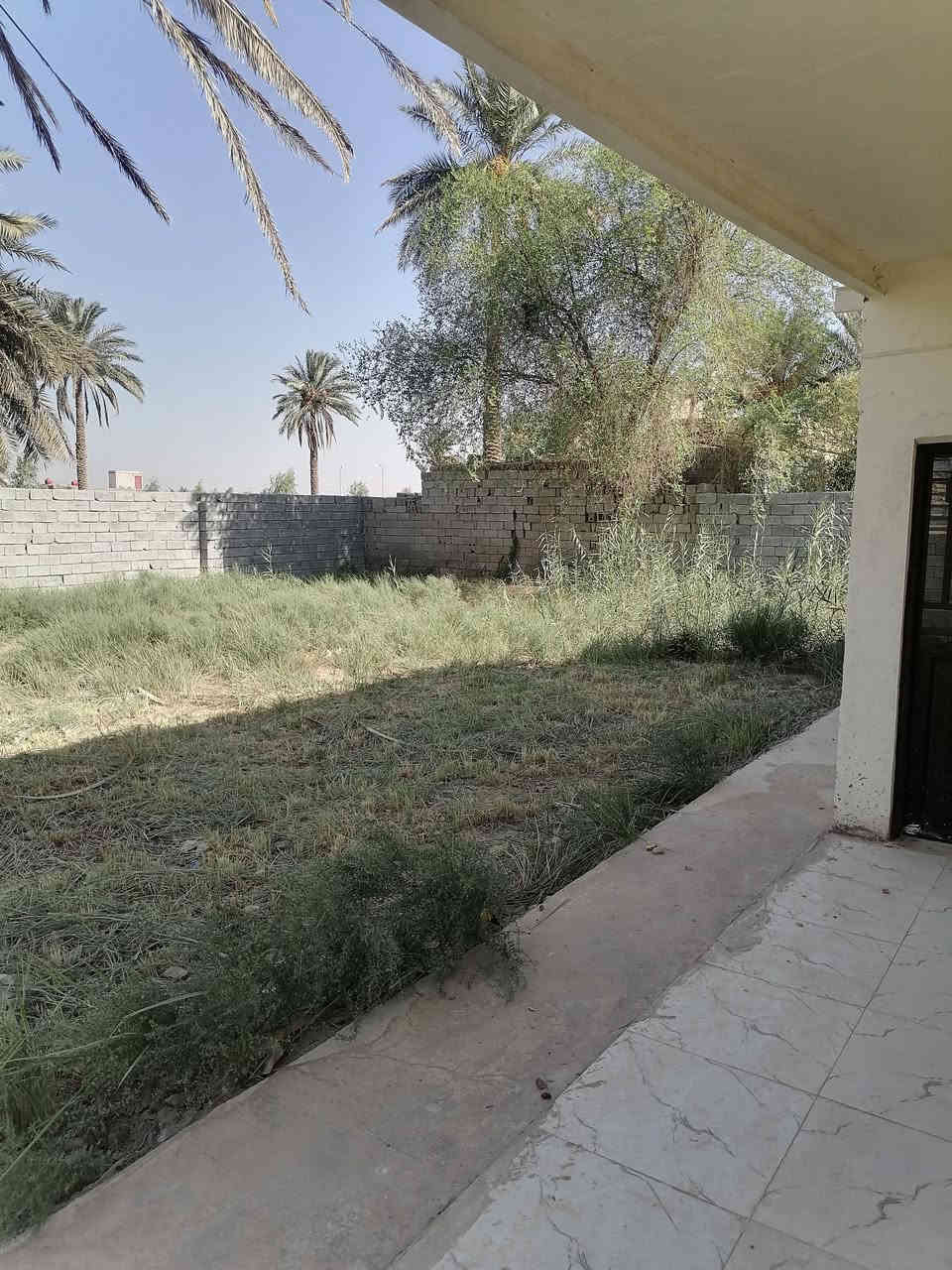 🏡 بيت للبيع – ام طباشي
📍 الموقع: مقابيل بانزين خانة الشموس 

📐 المساحة: 800م طابو زراعي 

🔹 التفاصيل: 3 غرف نوم ومطبخ وصاله و2 استقبال وصحيات داخليه و صحيات خارجية 

يحتوي على سطح كامل + خزان ماء + ماطور

ملاحضه : البيت جاهز للسكن + تبليط باب البيت 

💰 السعر خاص.. 

☎️ للاستفسار: ***********

📞الاستفسار :***********
