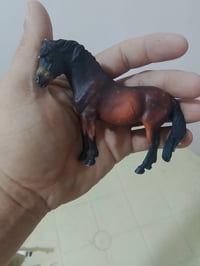 حيوانات • شلايش