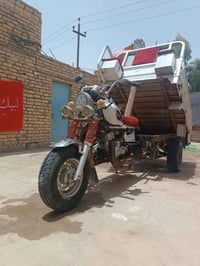 ستوته • موديل ١٩ • فحل