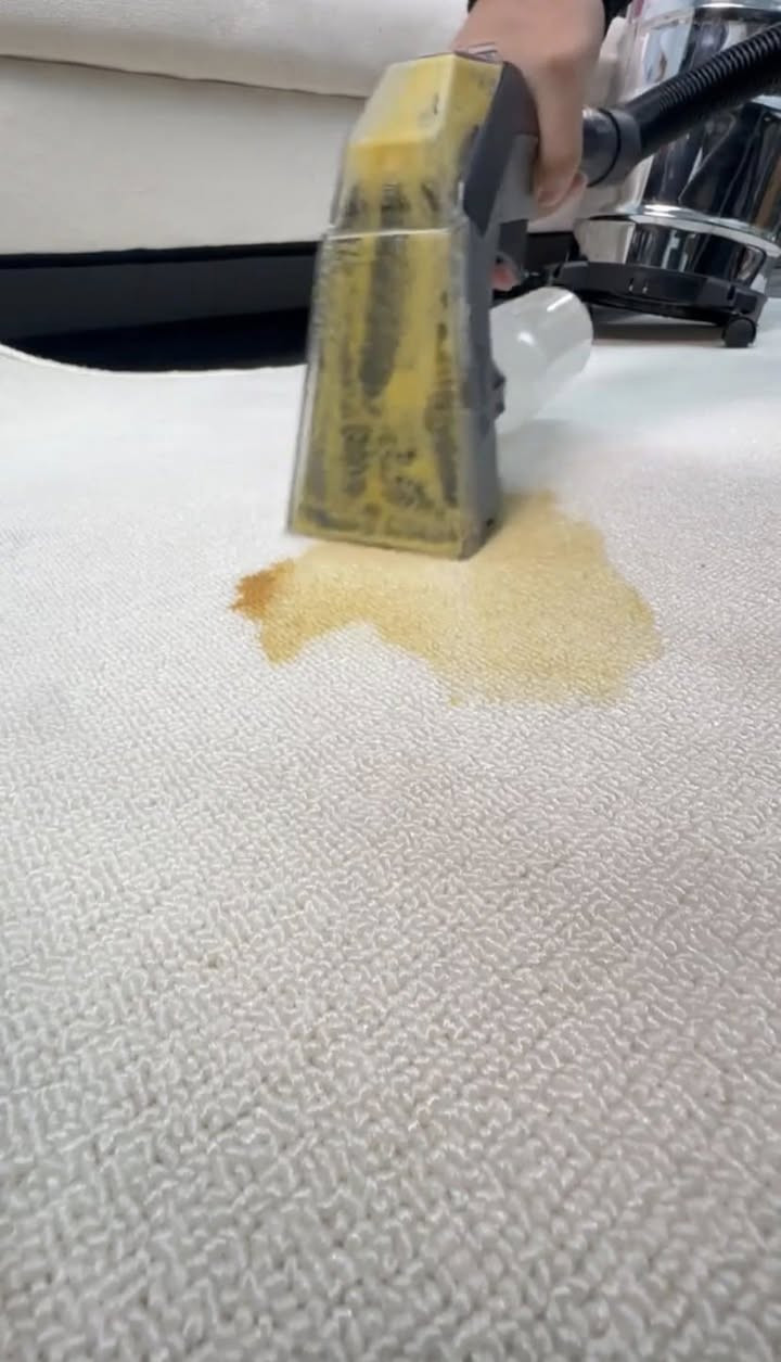 مرشة تنظيف عميق للمكانس
تنظيف بقع السجاد والموكيت بشكل مباشر وسريع
20 الف


**إذا كنت صاحب هذا الإعلان وتريد حذفه لأي سبب، رجاءا أرسل رسالة إلى الدعم الفني**