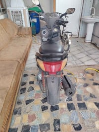 سكنس فحل • مكفول • معدل