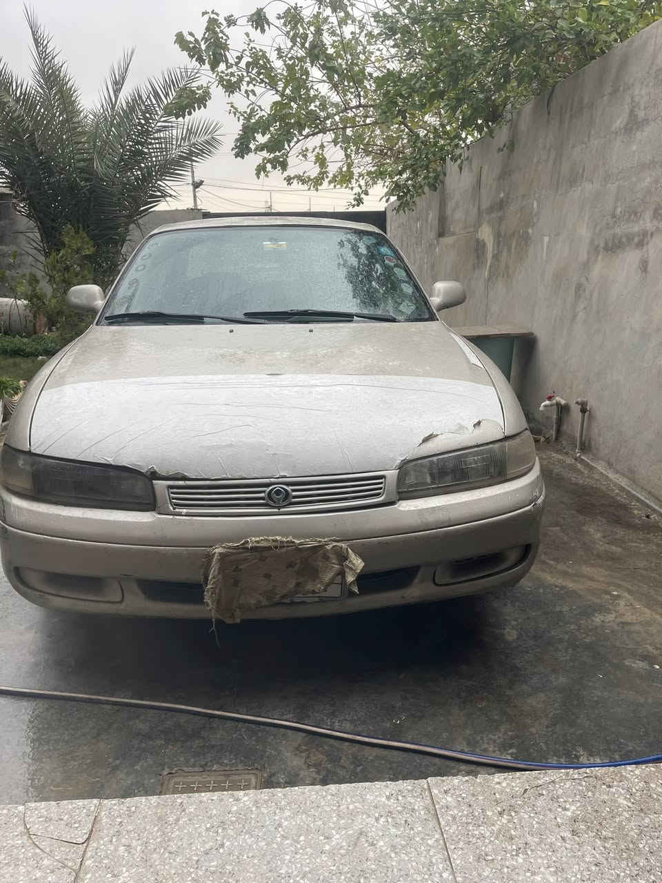 مازدا فاصوليا للبيع رقم كركوك 
سنويه 28 موديل 93
كير اوتماتيك حادثها جامرلغ خلف السكن 
المكان كركوك 
رقم الهاتف ***********
