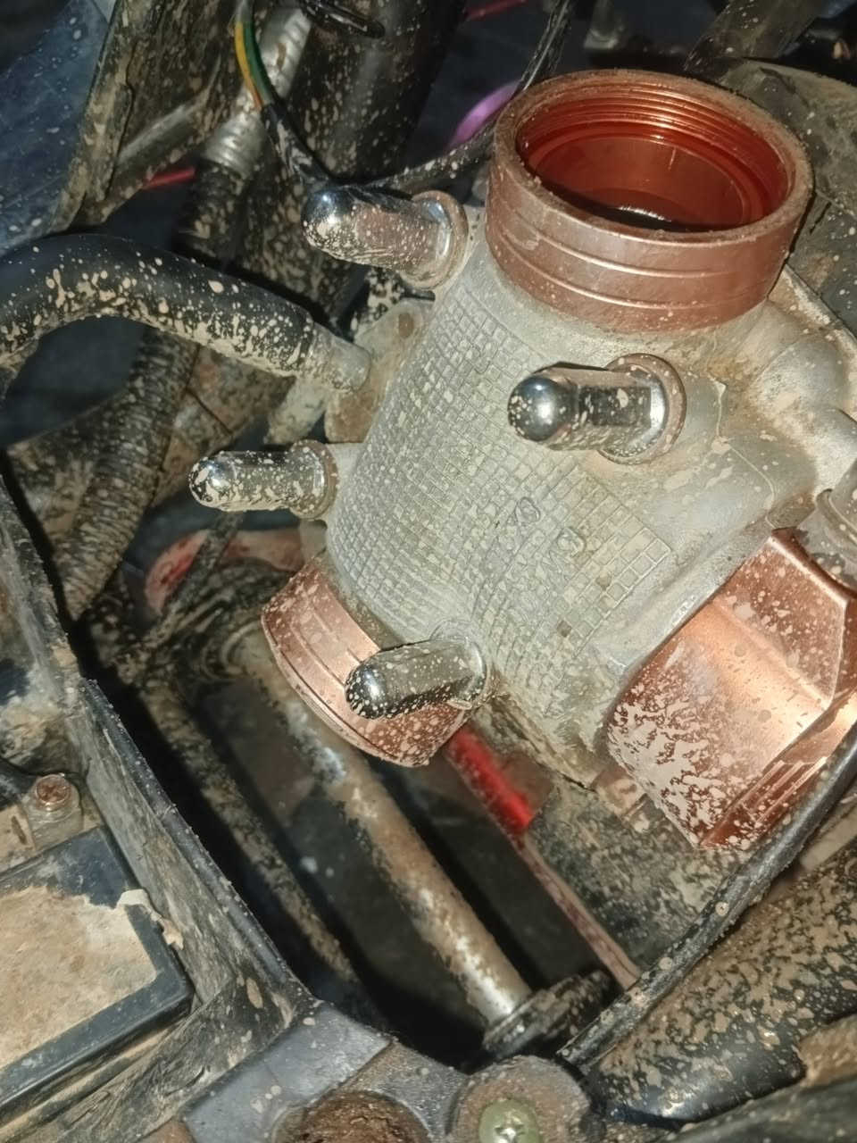 ماكس عدله للبيع
بوشه 58 

ولفين كبار 

تفاصيل اكثر عالخاص 

غراف 

سعره 400


**إذا كنت صاحب هذا الإعلان وتريد حذفه لأي سبب، رجاءا أرسل رسالة إلى الدعم الفني**