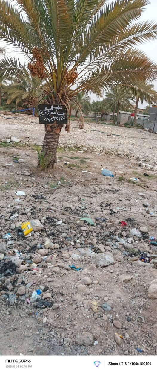 السلام عليكم القطعه للبيع زراعي جسر ديالى بل السواعد وراء الجامع تبعد عني  شارع الطابو 30 متر  قطعه 800 متر يبيع نصها او 280 او كلها 800 متر 
الهاتف ***********
