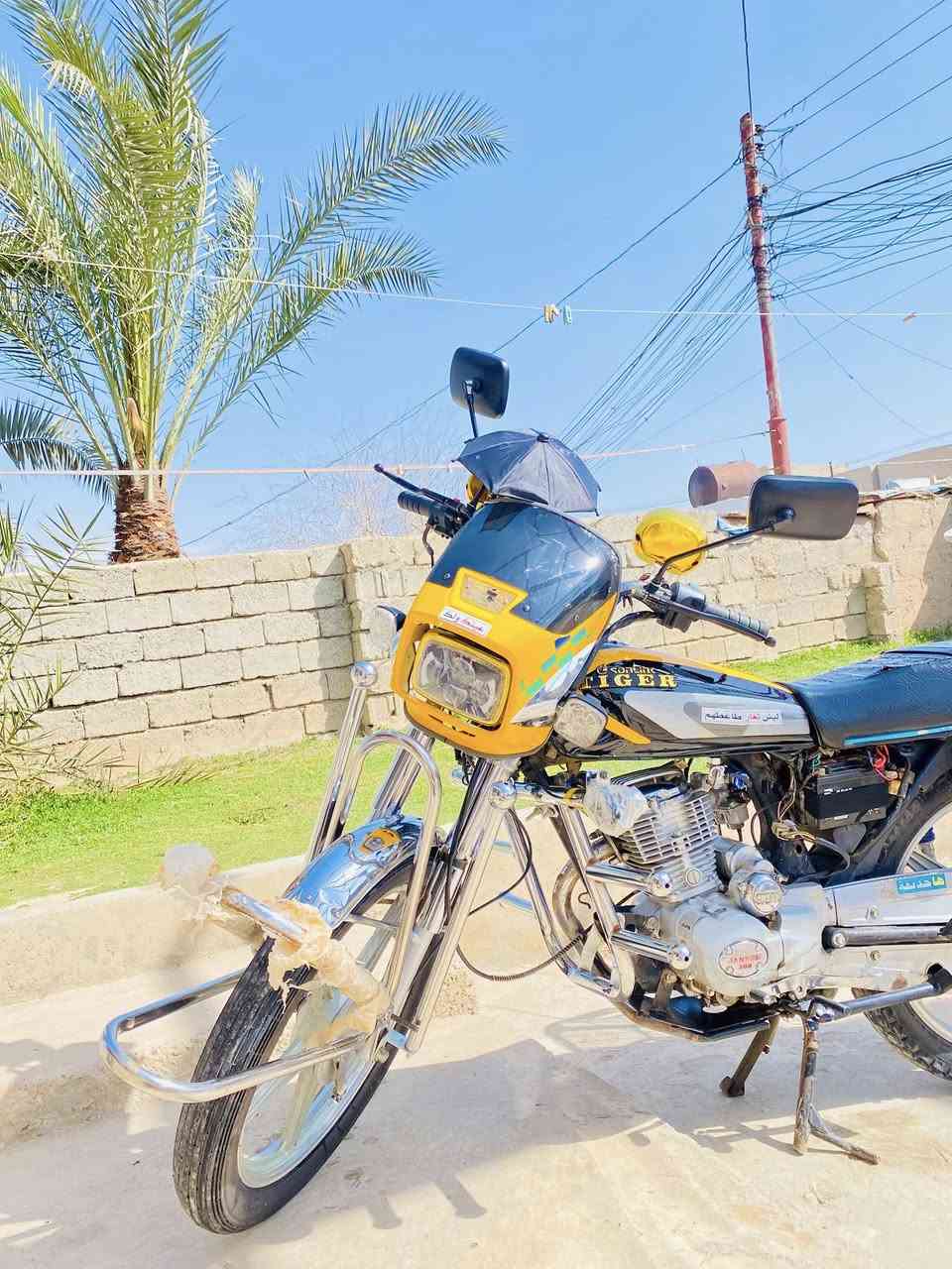 جني كله موديل 2020 نضيف حيل كهربايات كلهه شغاله نكره سلف مراوس ماطور 23 او24ونطي فرق مكان الشرقاط سديره


**إذا كنت صاحب هذا الإعلان وتريد حذفه لأي سبب، رجاءا أرسل رسالة إلى الدعم الفني**