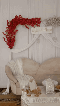 كوشات عرس • كادر نسائي • عروض شعبان