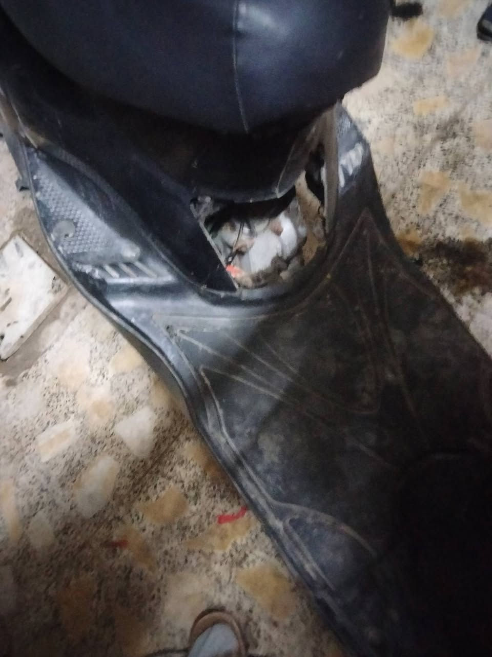 خوان سلام عليكم ورحمة الله وبركاته
دراجه بريز فحل كتبريتر سلف هندر نكرة 
دراجه خير من الله نقص بجم بس مازدة موجود جيب وشد 
بجم 
ترايهة وين متريد مكانه بغداد سبع قصور رقم 
***********
