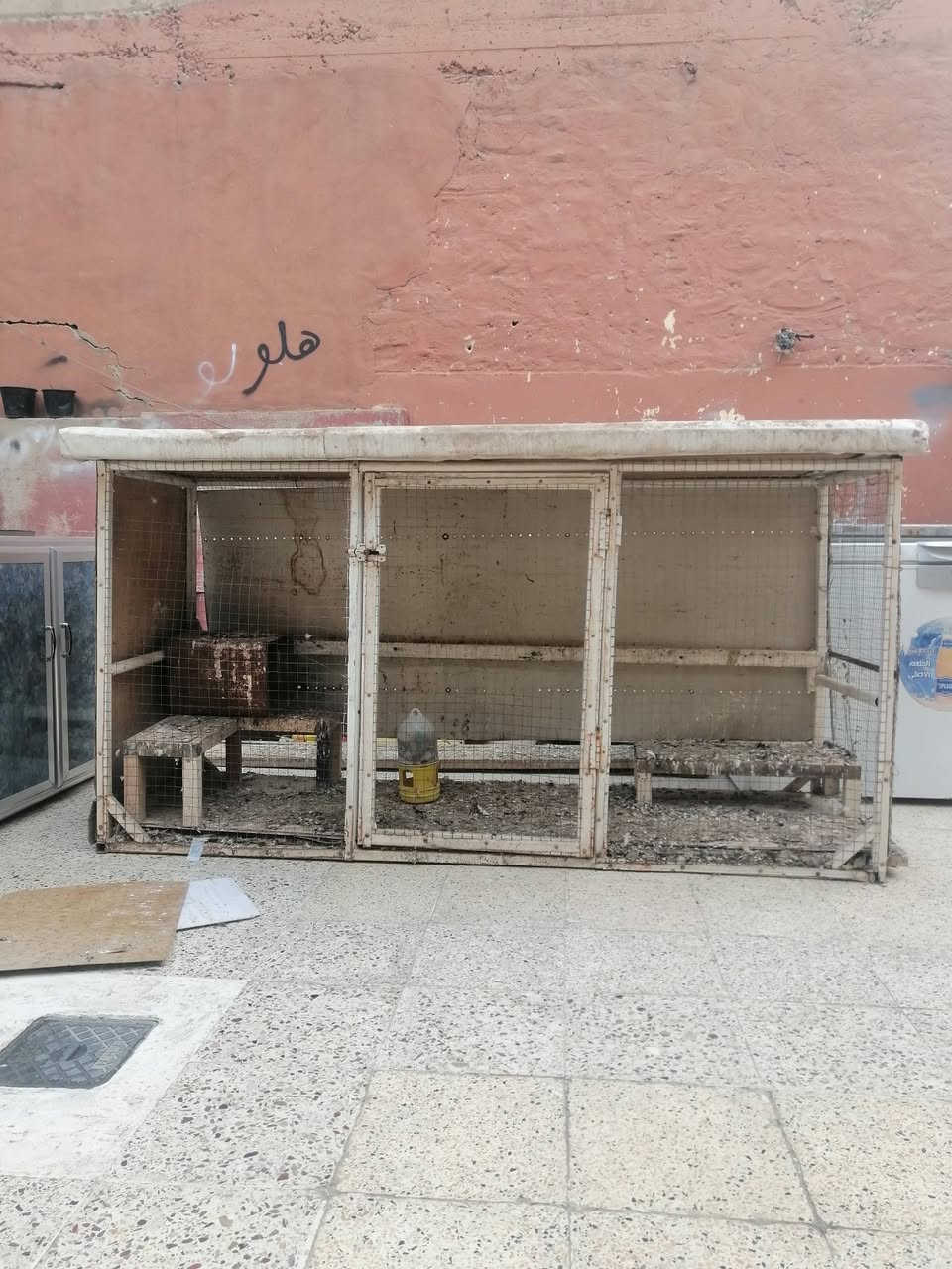 باب حديد ثقيل وقفص حديد ثقيل مرتب


**إذا كنت صاحب هذا الإعلان وتريد حذفه لأي سبب، رجاءا أرسل رسالة إلى الدعم الفني**