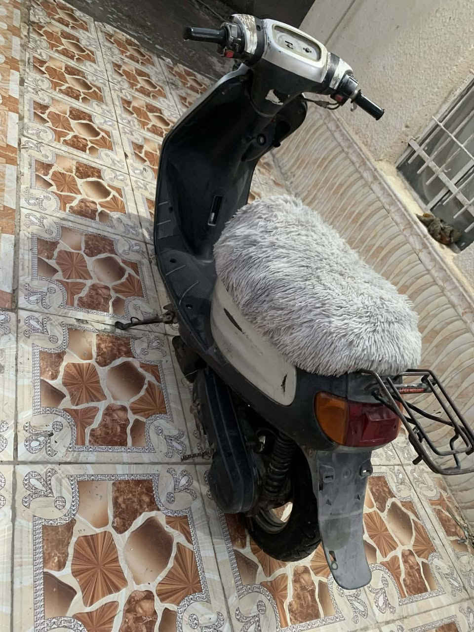 دراجه منغولي ما مفتوحه
كهربايات كامله لايت واشاير
السعر 250 وبيه مجال  المكان ناصريه مركز


**إذا كنت صاحب هذا الإعلان وتريد حذفه لأي سبب، رجاءا أرسل رسالة إلى الدعم الفني**