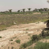 للبيع دونمين سند 25 مكانها اليوسفيه القصر الاوسط بئر الحمام واجه100 نز...