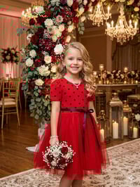 فستان • شروة • اقل طلب ٣٠٠