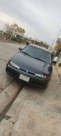 فاصوليا • ١٩٩٤ • عقرة