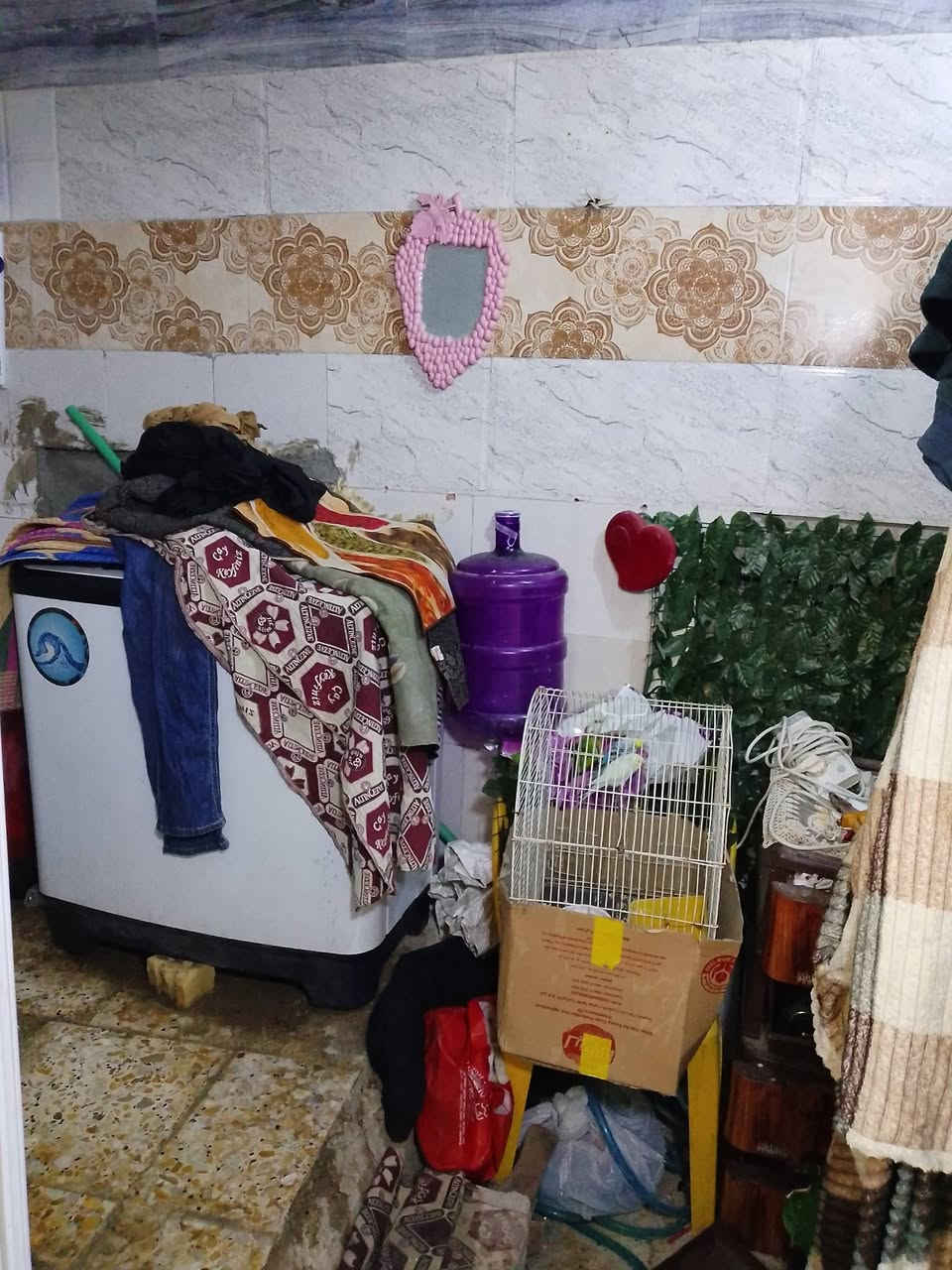 دار للبيع ربع قطعه 46 متر مربع  واقع حال علوه زويني يم شقق طالبيه قريب على شارع اول فرع متكون من مطبخ خدمات واستقبال كامل خدمات 12 وبي مجال الاستفسار رقم *********** بي واتساب
