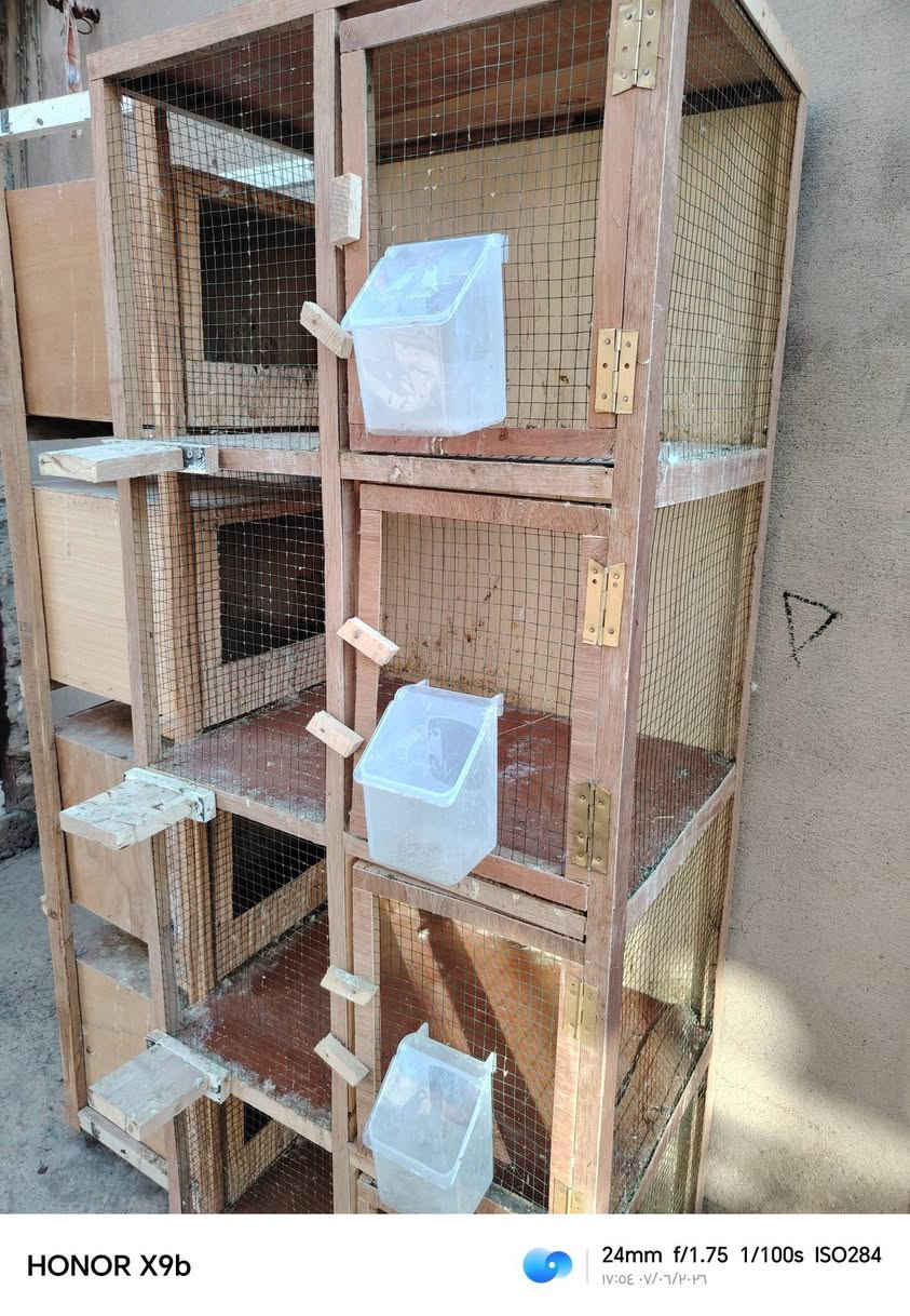 قفص للبيع اربع خانات السعر الخاص او اتصل على هذا الرقم
0750 864 6833
