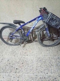بايسكل • ياباني • حجم 24