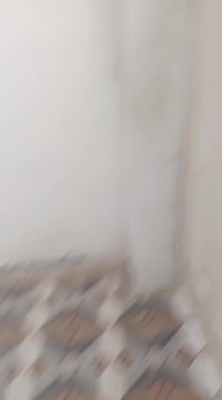 بيت للايجار • بعقوبة الجديدة • ٢٤٠م