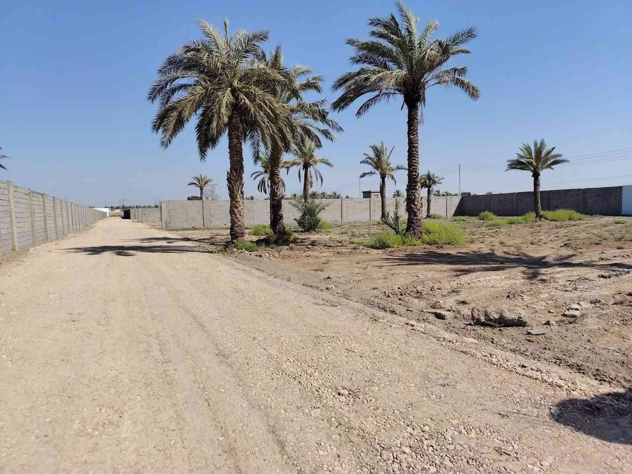 سلام عليكم يوجد لدينه قطعه أرض طابو ملك صرف المساحه ٥ دونم الواجها الواحد ٥٠ في ٥٠ صاير عله شارعين تبليط وسبيس كامله الخدمات العنوان بغداد اليوسفيه بئر الحمام شارع الأول خلف البانزيخانه بئر الحمام الاستفسار
***********
***********
