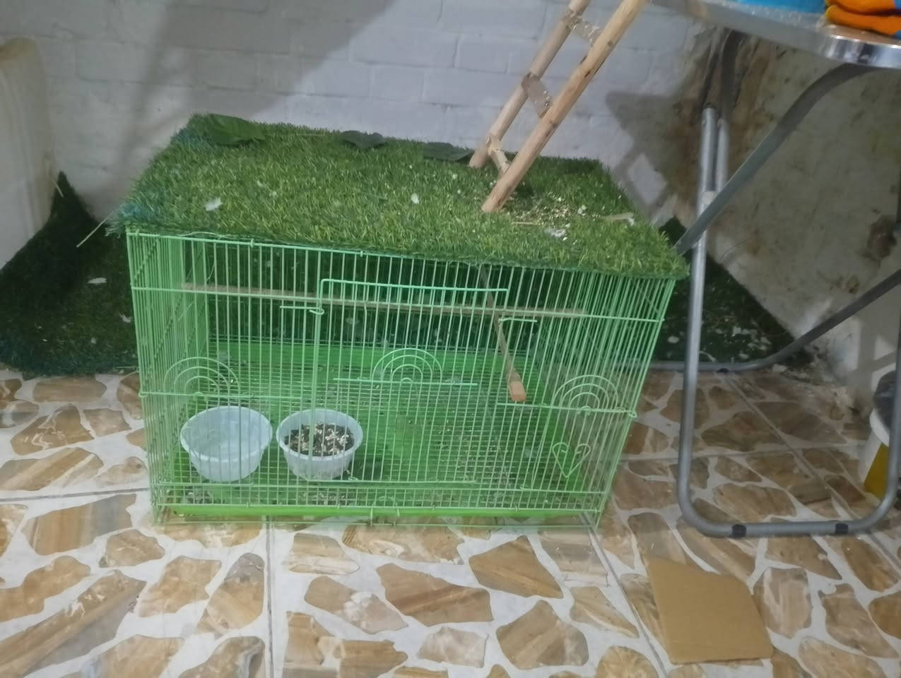 لبيع لشراي يتفضل خاص بابل كوكتيل اليف زوج


**إذا كنت صاحب هذا الإعلان وتريد حذفه لأي سبب، رجاءا أرسل رسالة إلى الدعم الفني**