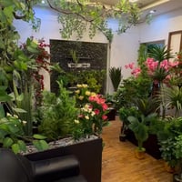 لمسهشركة الشارقة للديكور توفر لكم أجود النباتات الصناعية والسنادين بأح...