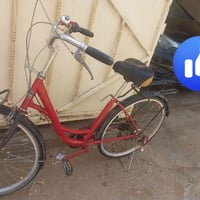 باسكل • شارع ١٠٠ • مدرسة بابل