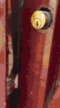 ناحية الوحدة • سيد عزال • خدمات