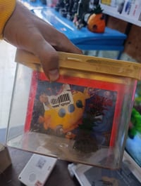 كلهن • ديكور • متفرقات