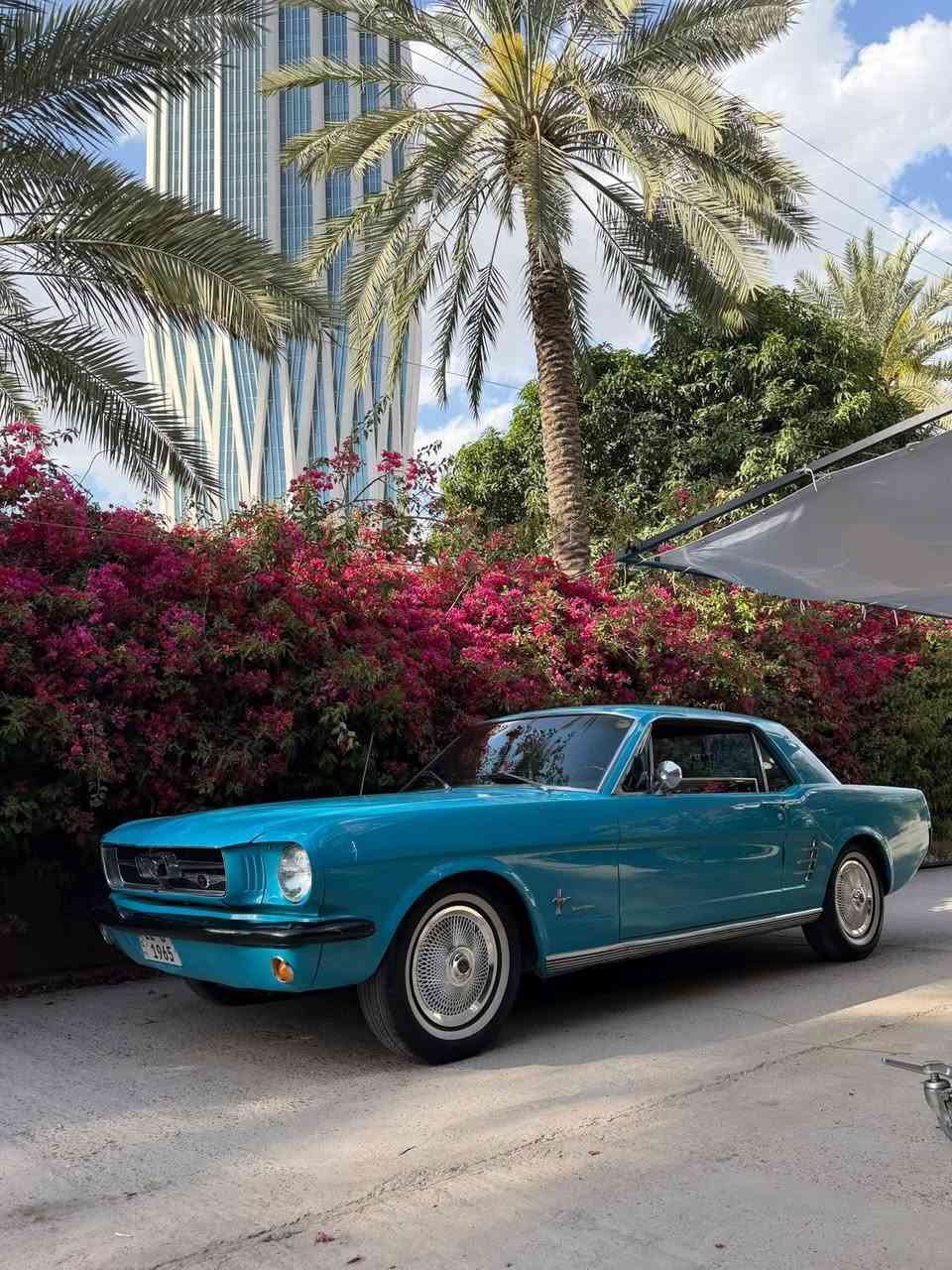 موستنج 1965 رقم نفس موديل سياره بلاديه كلها بس صبغ بدبي مصبوغ 6000كلم
***********
***********
