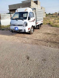 فحل ٢٠٢٥ • مكفولة ١٠٠٠٠ • بغداد المعامل