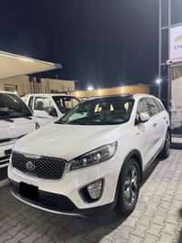 ٢٠١٦ • ٦ سلندر • ٧ راكب