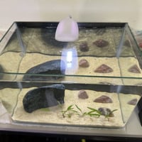 حوض سمك فايتر • إضاءة ليد • سليمانية