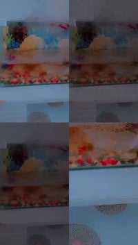 حوض سمك • عدة كاملة • ٤ أسماك