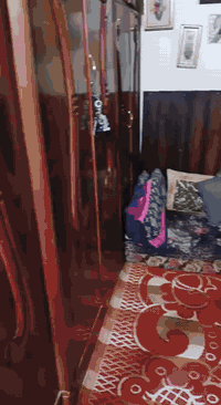 دار للبيع مساحه 40 متر طابقين تحتوي غرفتين نوم ومطبخ وطرمه واستقبال مو...