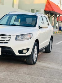سنتافيا • ٢٠١١ • رقم اربيل