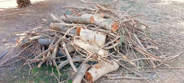 متاح حطب للبيع
***********
