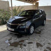 كوينس • ٢٠٢٣ • وارد أمريكي