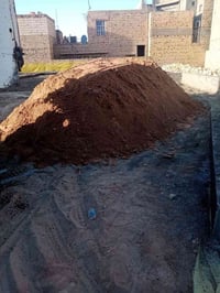 رمل مختبر • درجة اولى • مع توصيل