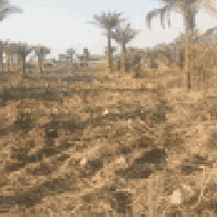 أرض زراعية • دونم ونص • شارع بغداد كربلاء