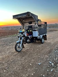 ستوته للبيع موديل 19منفيس اوراق كامل   فحل عالي قلاب نكره سلف كهربائي ...