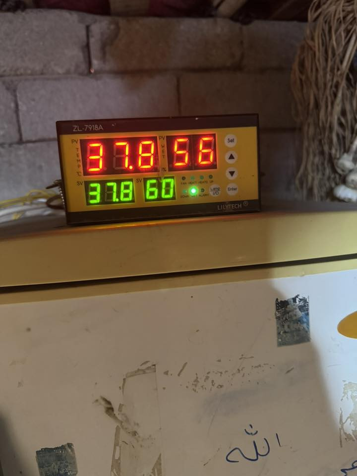 البصرة القرنة


**إذا كنت صاحب هذا الإعلان وتريد حذفه لأي سبب، رجاءا أرسل رسالة إلى الدعم الفني**