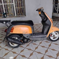 ماكس بوليس • سلف • نجف