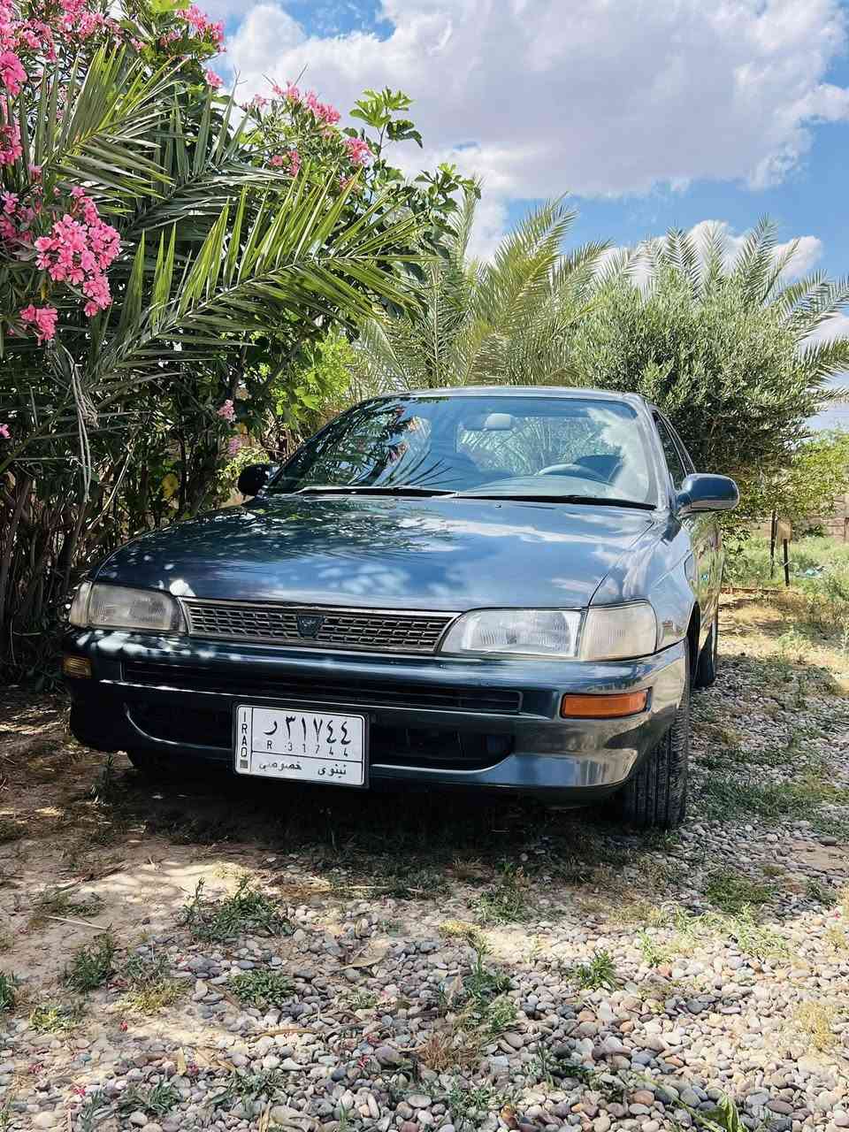 كورلا ٩٤
طخم تاير صدر ويل كب 
سنوية جديدة 
بيها طخة بسيطة بالجاملغ الامامي اليسار فقط 
رشيتها عام على ايدي اثر جراد 
سيارة جاهزة . المحرك بي دخن بداية التشغيل

تبريد شغال 

***********

50 وبيها مجال
